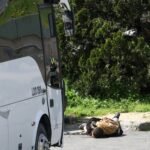 Tres hombres vestidos de camuflaje abren fuego junto al consulado de Israel en Estambul