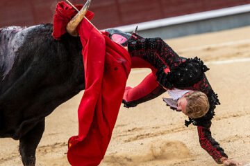 Importante tarde y grave lesión de Clemente ante la dura corrida B de Juan Pedro Domecq en Las Ventas