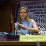 Aagesen niega haber recibido «presiones políticas» para dar luz verde a los rescates de Air Europa, Plus Ultra y Tubos Reunidos