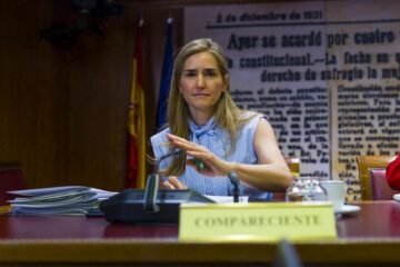 Aagesen niega haber recibido «presiones políticas» para dar luz verde a los rescates de Air Europa, Plus Ultra y Tubos Reunidos