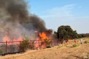 Incendios en Madrid, Vall d’Uixó y resto de España, última hora, en directo | Horas decisivas en la lucha contra el fuego ante la llegada de la ola de calor