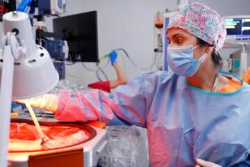 Un prototipo de placenta artificial para prematuros extremos logra mantener con vida un feto de oveja durante 21 días