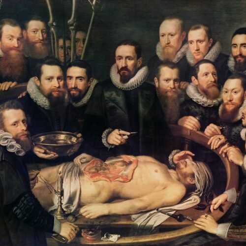 La medicina tiene una deuda con la mitad de la humanidad