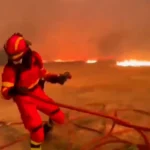 El viento complica la extinción del incendio de Zaragoza: «¡Preparad las mangueras que está aquí!»