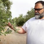 El ‘coladero’ de las aduanas hunde el oro verde español: Túnez vende hoy un 85% más de aceite a nuestro país que en 2016